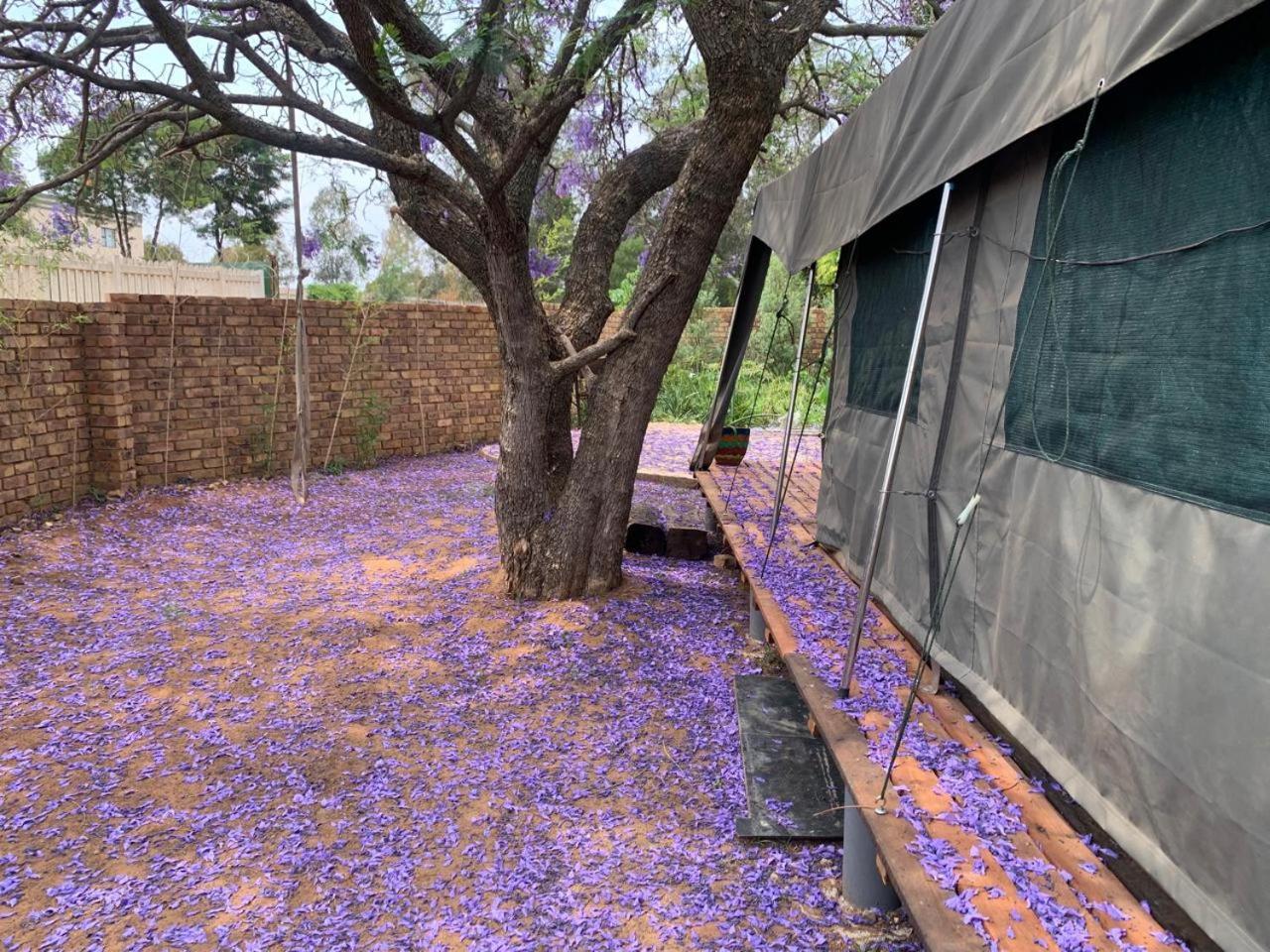 Sunset Guesthouse And Venue Cullinan Meule المظهر الخارجي الصورة