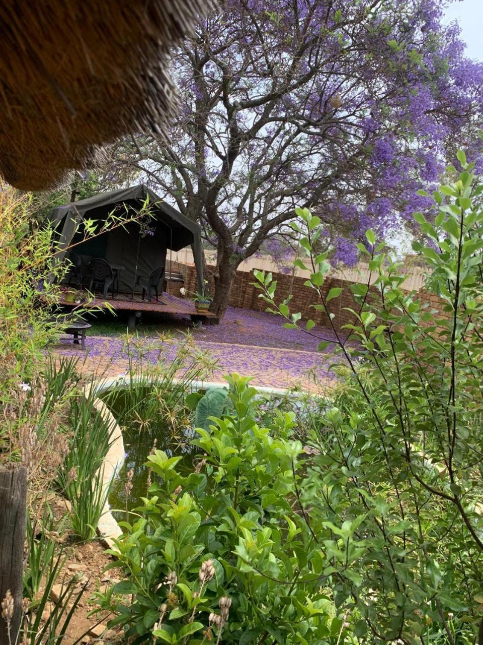 Sunset Guesthouse And Venue Cullinan Meule المظهر الخارجي الصورة